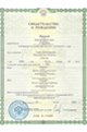 Birth Certificate Certified Russian / Ukrainian translation services